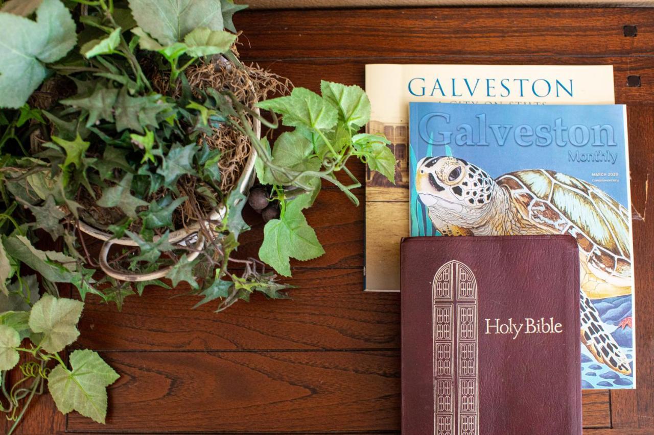 Relax At Our Beach Haven - Pet Friendly Galveston Exteriér fotografie